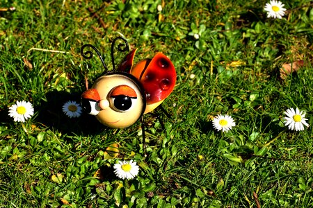 Cute figure funny