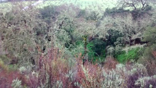 IMG_20170217_142304907 