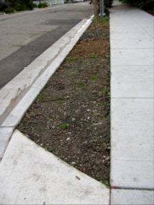 Sidewalk median 