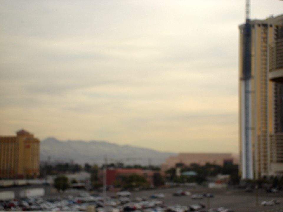 dsc00918-1.jpg 