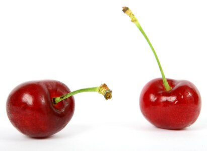 Blueberry breakfast cherry