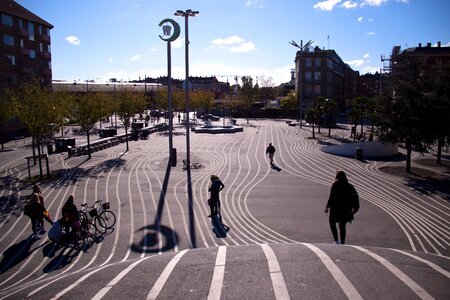 White lines park