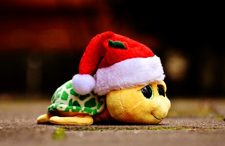 Soft toy santa hat toys photo