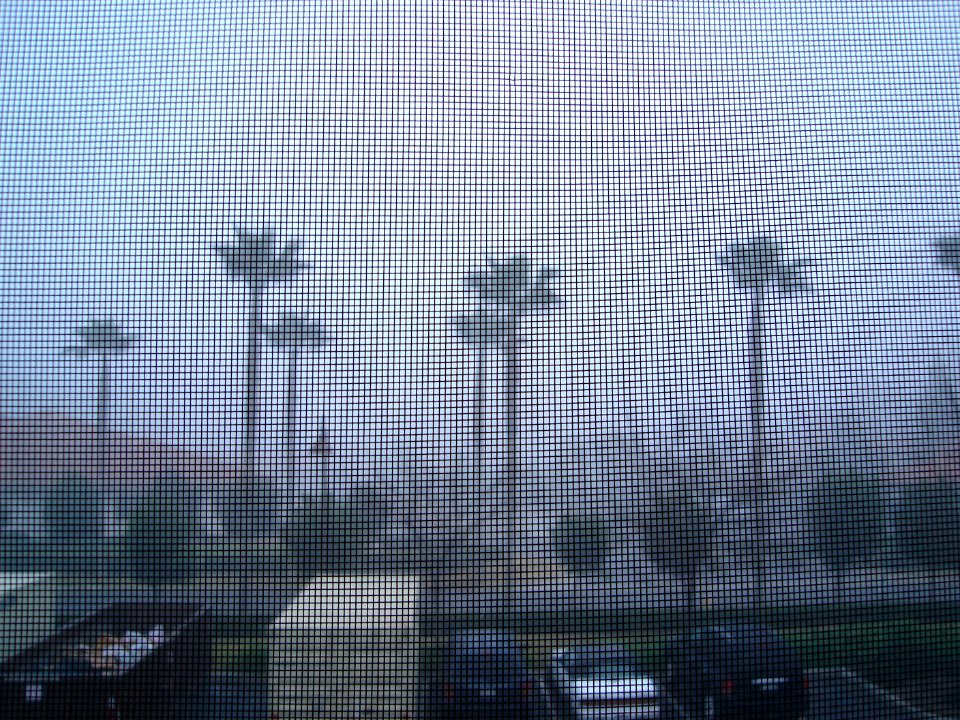 dsc01064.jpg 