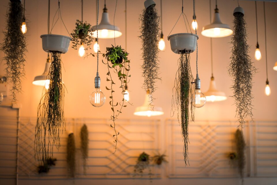 Hanging illuminated interior design