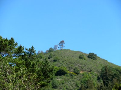 img_0242.jpg 