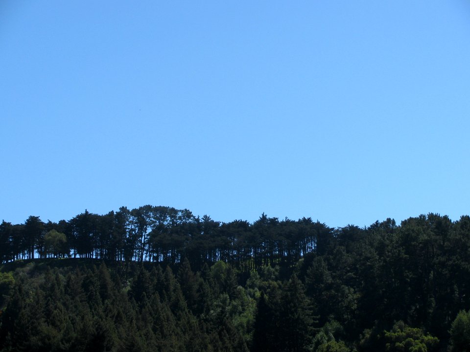 img_0236.jpg 