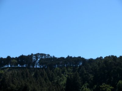 img_0236.jpg 