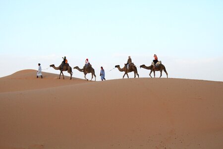 Desert sahara moroccan