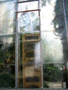 img_0252.jpg 