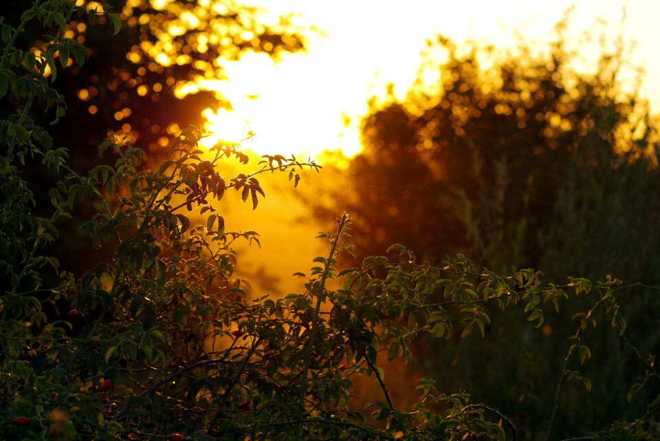 End of summer sunset indian summer