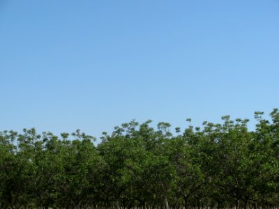img_0314.jpg 