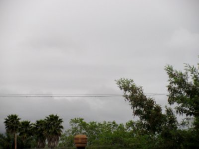 img_0353.jpg 