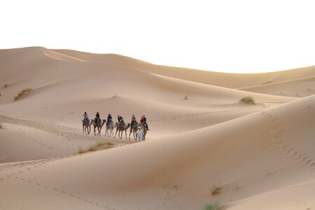 Desert sahara moroccan