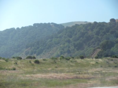 img_0412.jpg 