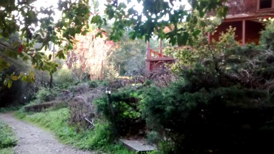 IMG_20170328_181911183 