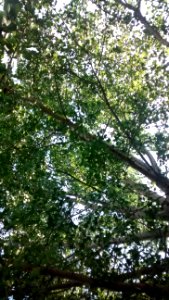 IMG_20170721_162419922 