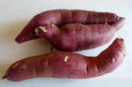 Potato vegetable food