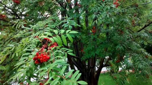 IMG_20170821_165457365 
