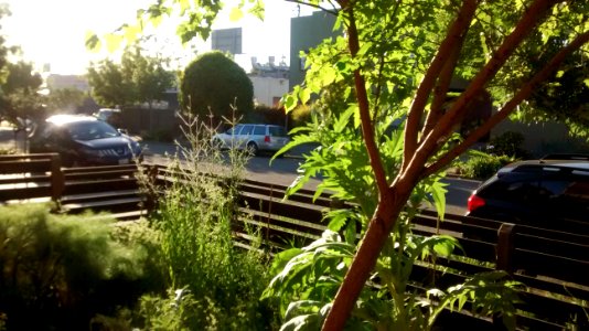 IMG_20170502_184741308 