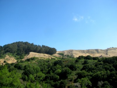 img_0658.jpg 