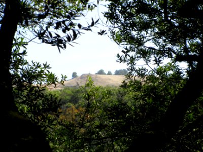 img_0655.jpg 