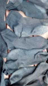 IMG_20170703_085422196 