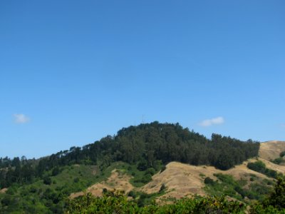 img_0690.jpg 