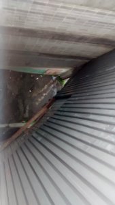 IMG_20170825_155523948 