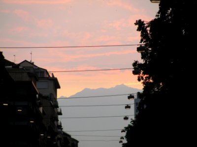 img_0855.jpg 