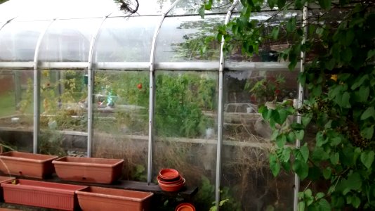 IMG_20170821_135654022 