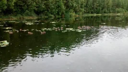 IMG_20170825_124409741 