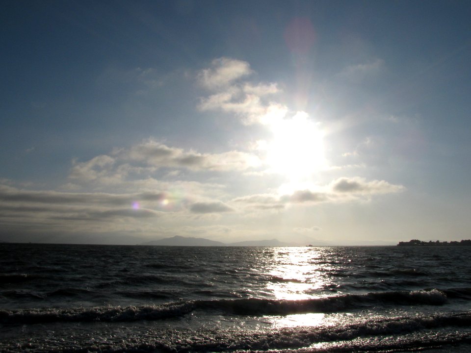 img_0875.jpg 