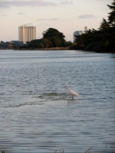 img_0883.jpg 