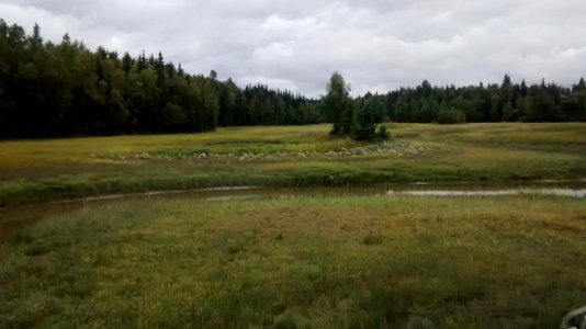 IMG_20170824_145843378 