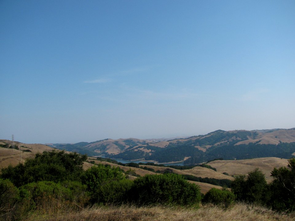 img_1081.jpg 