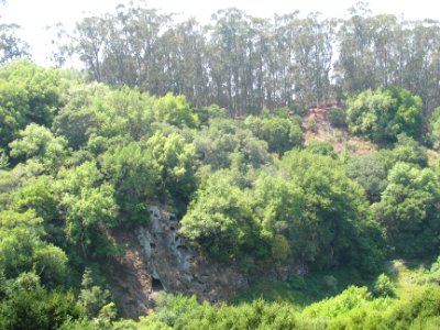 img_1117.jpg 