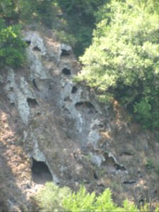 img_1118.jpg 