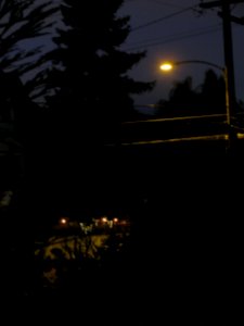 img_1162.jpg 