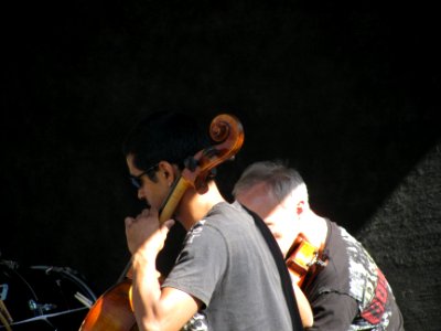 img_1195.jpg 