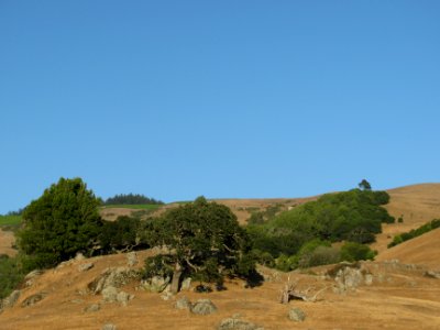 img_1204.jpg 