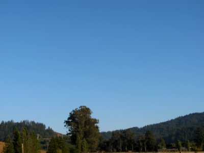 img_1207.jpg 