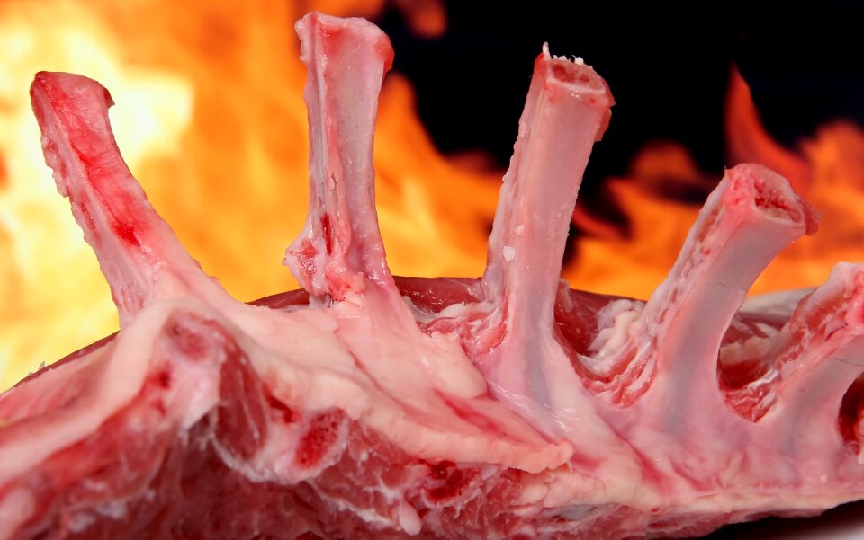 Barbecue barbeque bbq