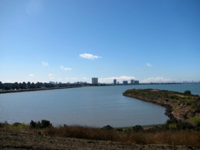 img_1439.jpg 