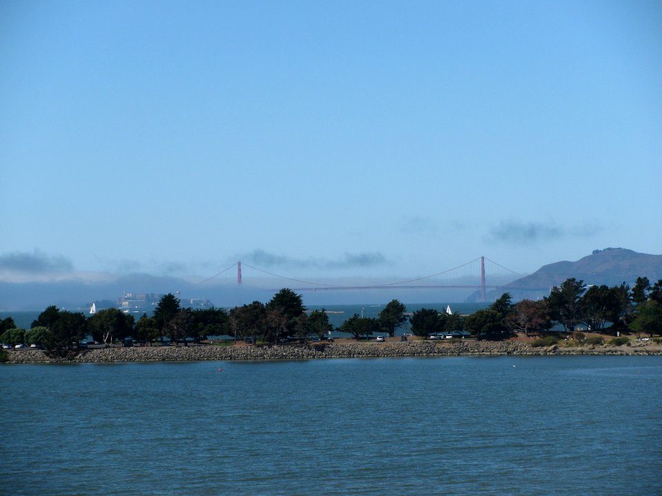 img_1441.jpg 
