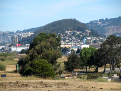 img_1445.jpg 