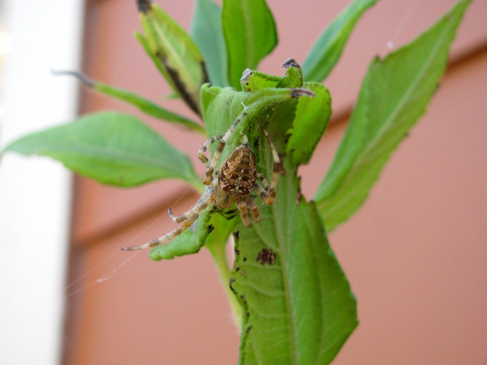 img_1457.jpg 