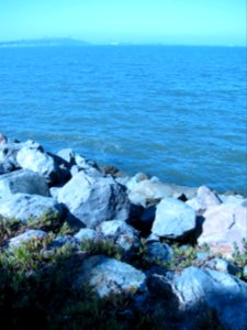 img_1496.jpg 