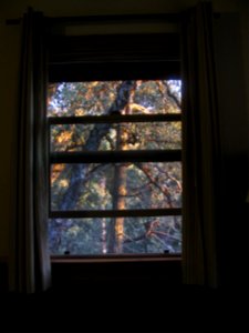 img_1532.jpg 