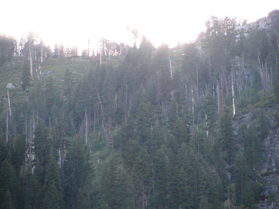 img_1584.jpg 